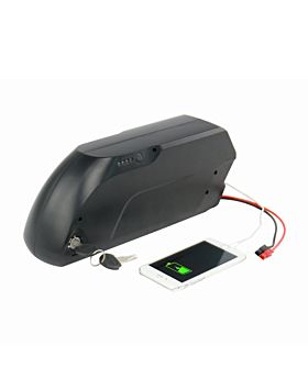 electric bike battery