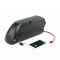 electric bike battery