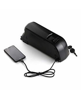 down tube lithium battery