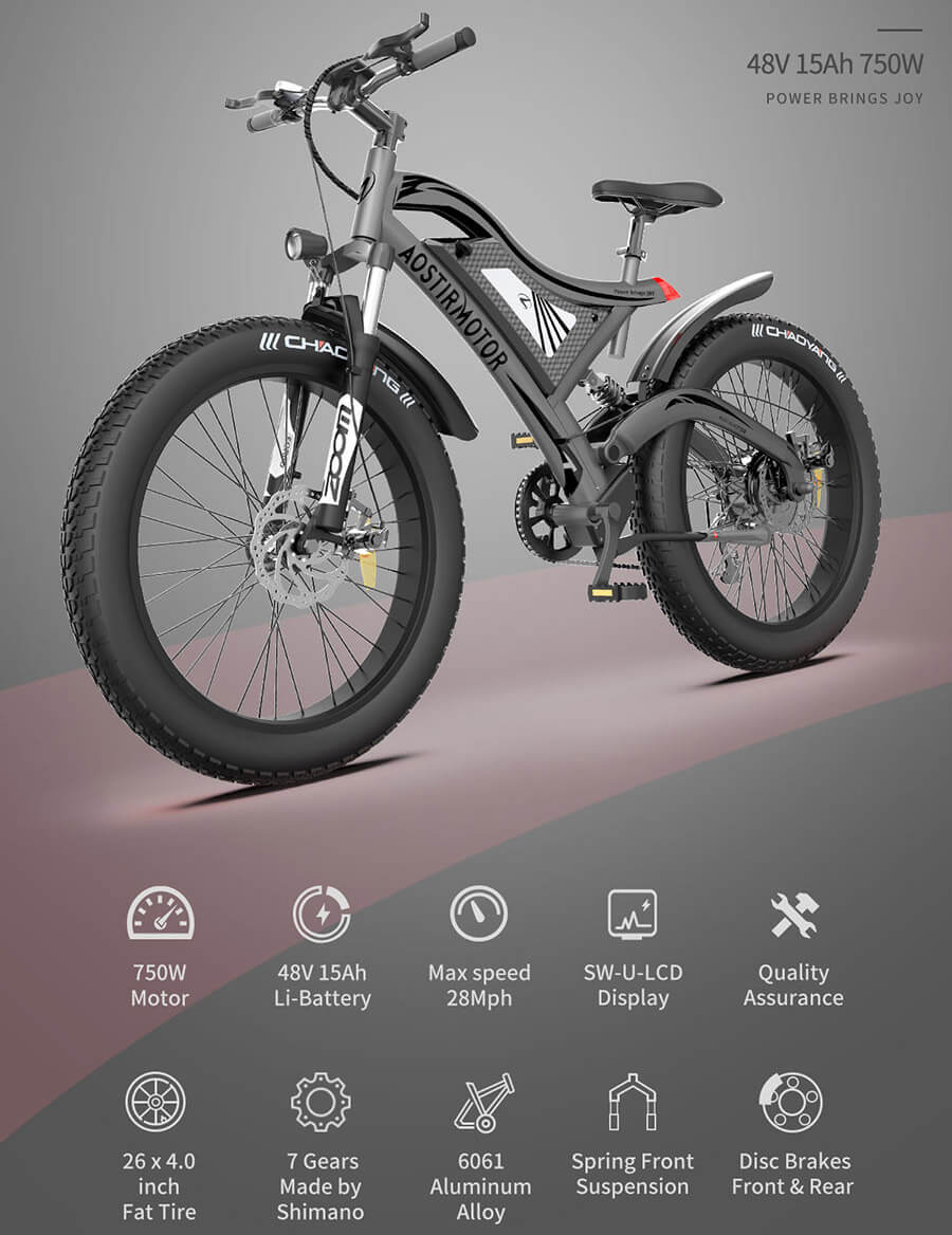 48V 750W fat tire electric bike hotsale ebike  best ebike